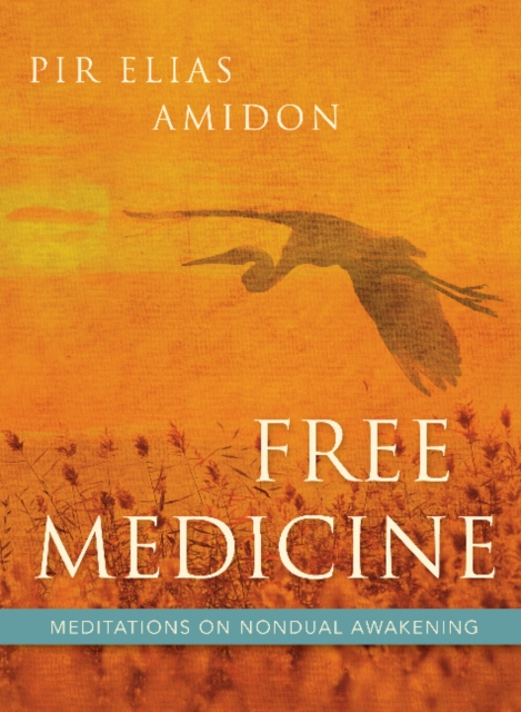 Free Medicine : Meditations on Nondual Awakening, Paperback / softback Book
