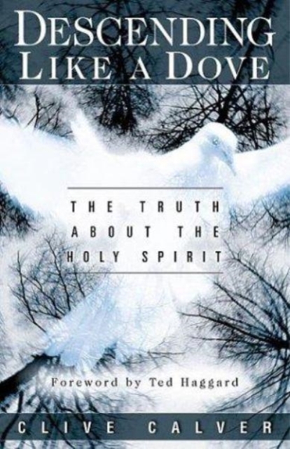 Decending Like a Dove : The Truth About the Holy Spirit, Paperback / softback Book