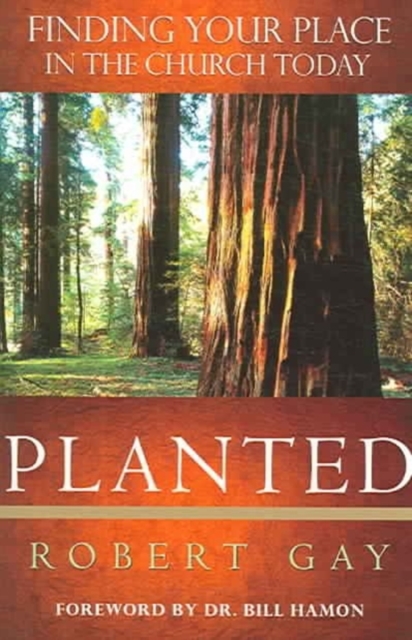Planted : Finding Your Place in the Church Today, Paperback / softback Book