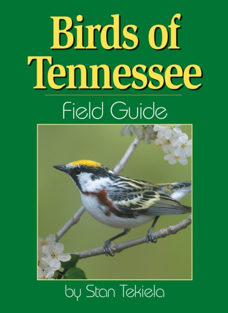 Birds of Tennessee Field Guide, Paperback / softback Book