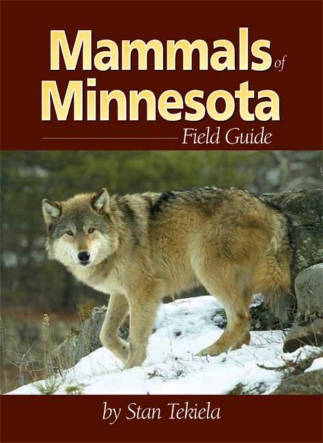 Mammals of Minnesota Field Guide, Paperback / softback Book