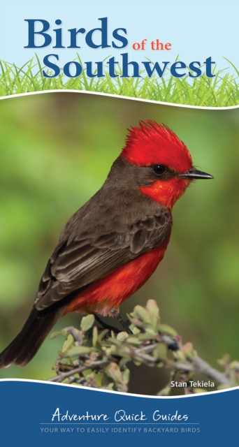 Birds of the Southwest : Your Way to Easily Identify Backyard Birds, Spiral bound Book