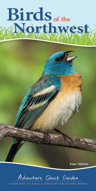 Birds of the Northwest : Your Way to Easily Identify Backyard Birds, Spiral bound Book
