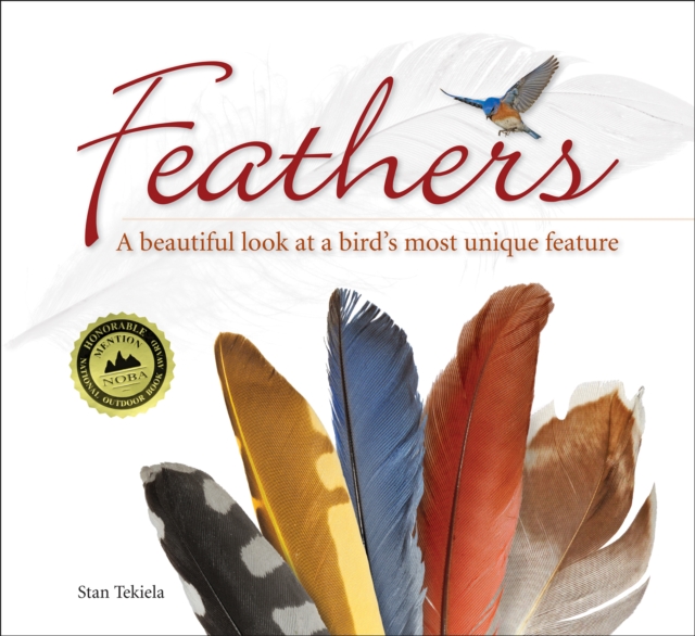 Feathers : A Beautiful Look at a Bird's Most Unique Feature, Paperback / softback Book