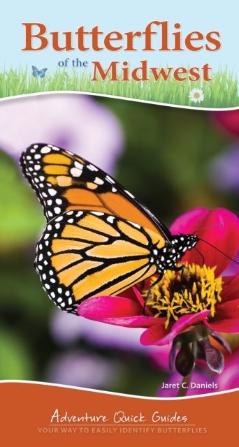 Butterflies of the Midwest : Identify Butterflies with Ease, Spiral bound Book