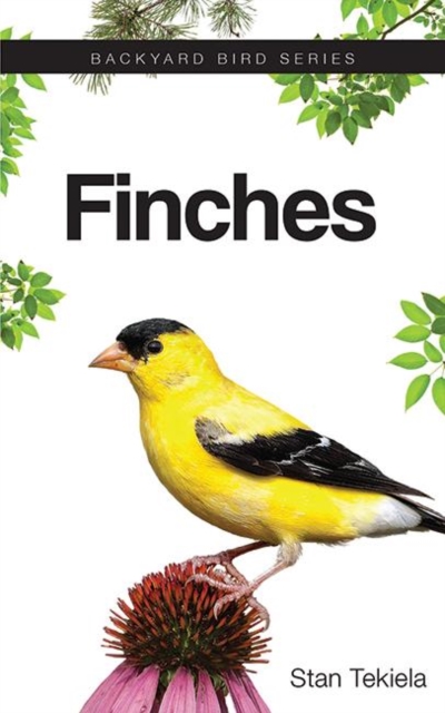 Finches, Paperback / softback Book