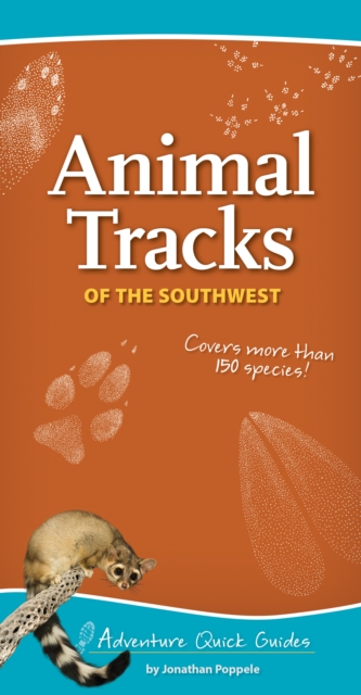 Animal Tracks of the Southwest : Your Way to Easily Identify Animal Tracks, Spiral bound Book