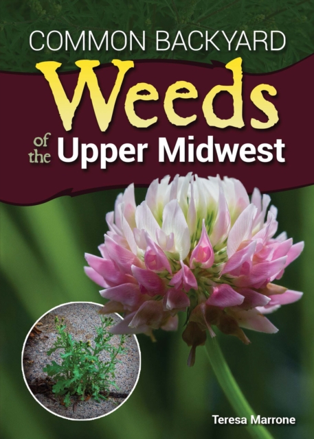 Common Backyard Weeds of the Upper Midwest, EPUB eBook