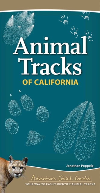 Animal Tracks of California : Your Way to Easily Identify Animal Tracks, Spiral bound Book