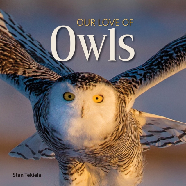 Our Love of Owls, Hardback Book