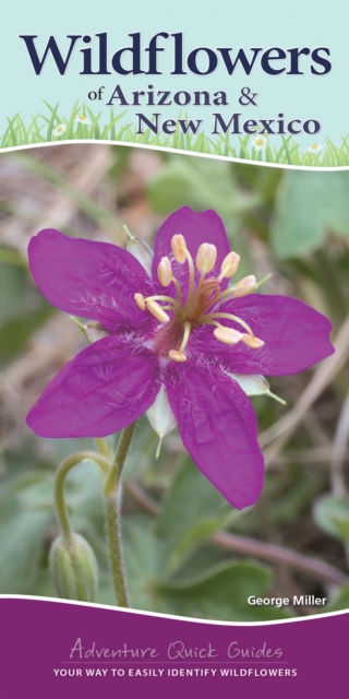 Wildflowers of Arizona & New Mexico : Your Way to Easily Identify Wildflowers, Spiral bound Book