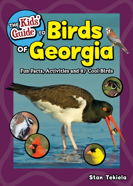 The Kids' Guide to Birds of Georgia : Fun Facts, Activities and 87 Cool Birds, Paperback / softback Book