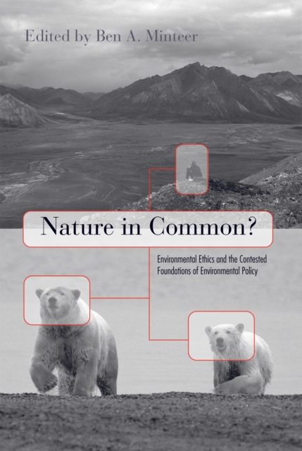 Nature in Common? : Environmental Ethics and the Contested Foundations of Environmental Policy, Hardback Book