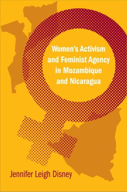Women's Activism and Feminist Agency in Mozambique and Nicaragua, Paperback / softback Book