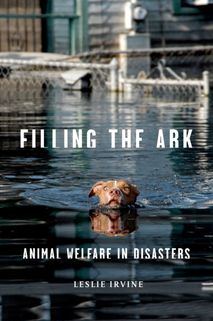 Filling the Ark : Animal Welfare in Disasters, Hardback Book