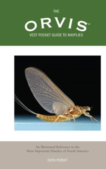 Orvis Vest Pocket Guide to Mayflies : An Illustrated Reference To The Most Important Hatches Of North America, Paperback / softback Book