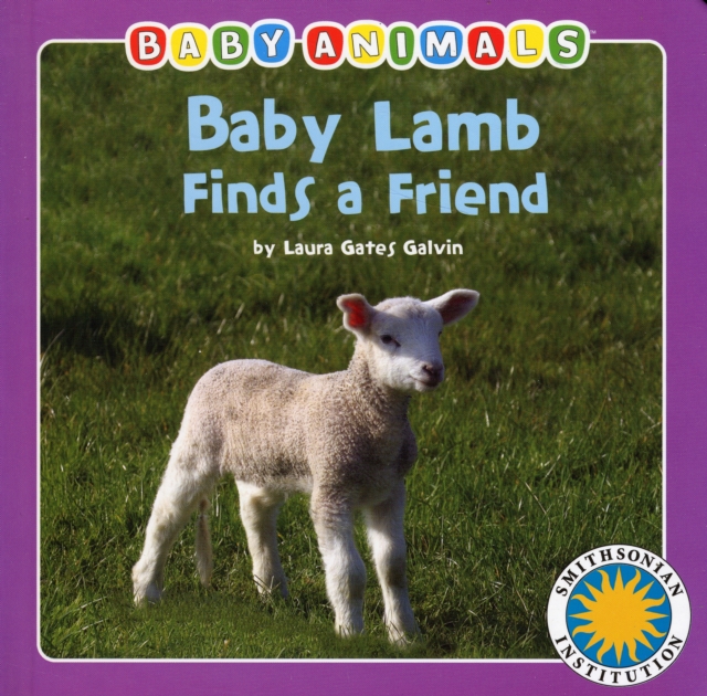 Baby Lamb Finds a Friend, Board book Book