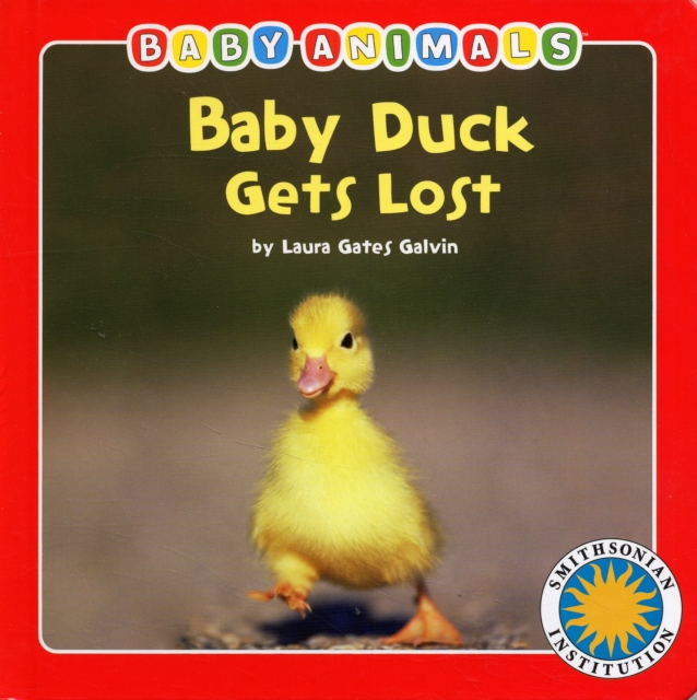 Baby Duck Gets Lost, Board book Book
