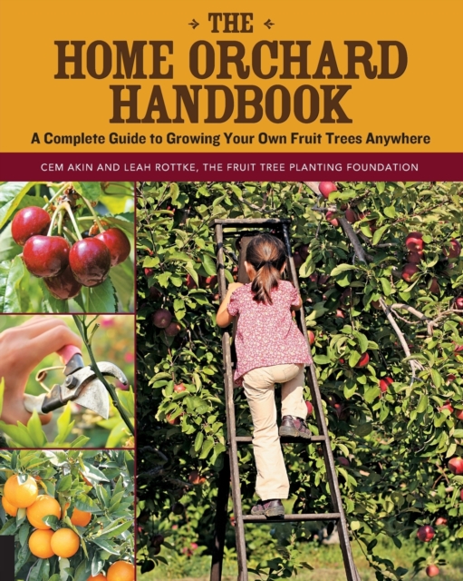 The Home Orchard Handbook : A Complete Guide to Growing Your Own Fruit Trees Anywhere, Paperback / softback Book