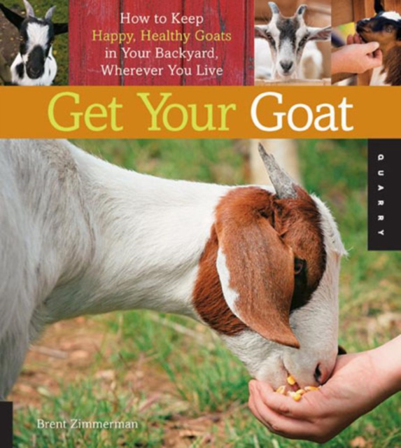 Get Your Goat : How to Keep Happy, Healthy Goats in Your Backyard, Wherever You Live, Paperback / softback Book