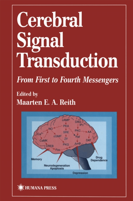 Cerebral Signal Transduction : From First to Fourth Messengers, PDF eBook