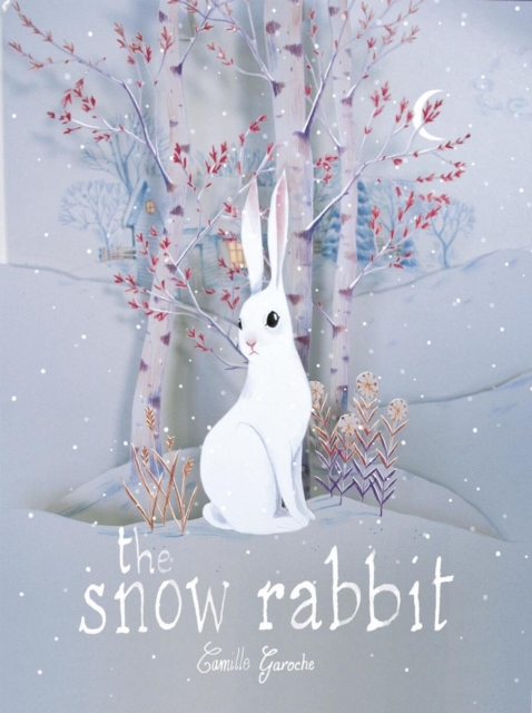 The Snow Rabbit, Hardback Book