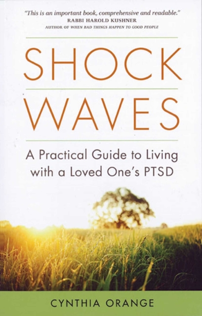 Shock Waves, Paperback / softback Book