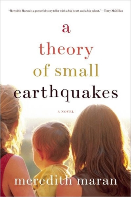 A Theory Of Small Earthquakes, Paperback / softback Book