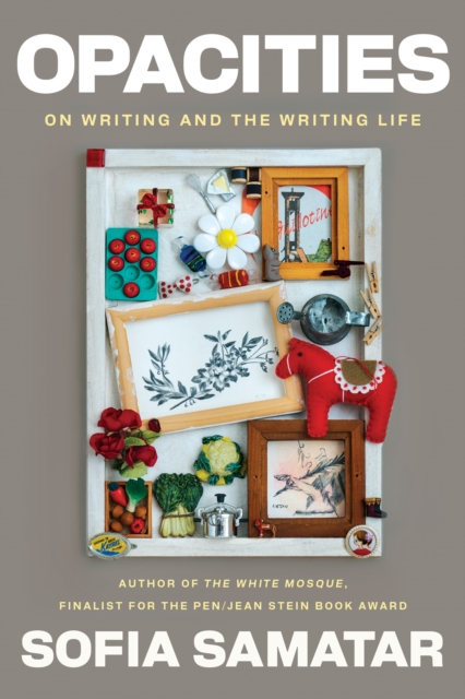 Opacities : On Writing and the Writing Life, Paperback / softback Book