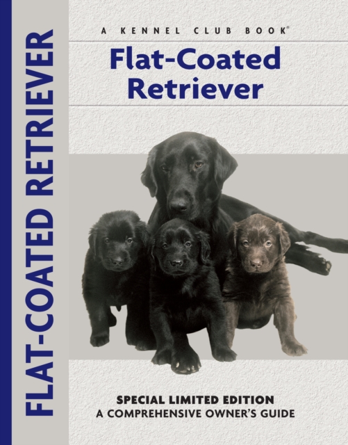Flat-Coated Retriever, Hardback Book