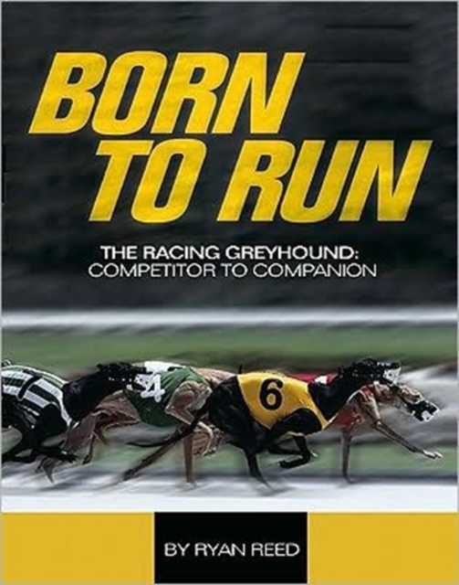 The Born to Run : Racing Greyhound, from Competitor to Companion, Paperback / softback Book