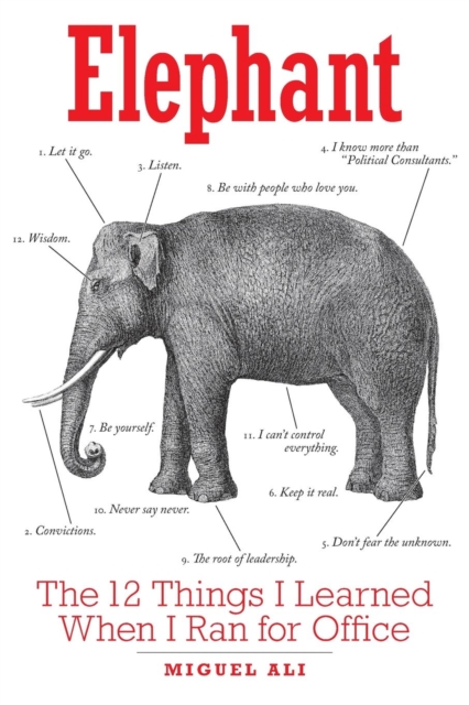 Elephant : The 12 Things I Learned When I Ran for Office, Paperback / softback Book