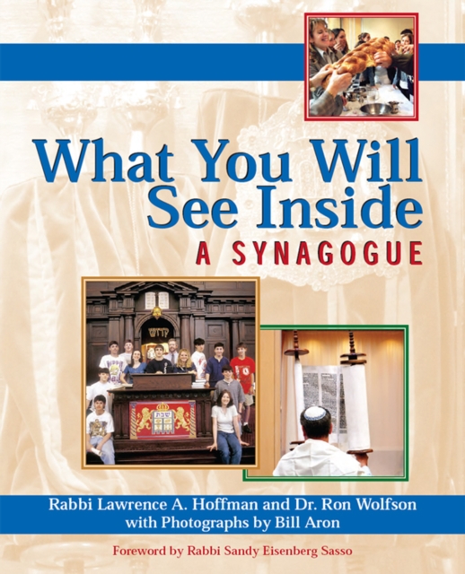 What You Will See Inside a Synagogue, EPUB eBook
