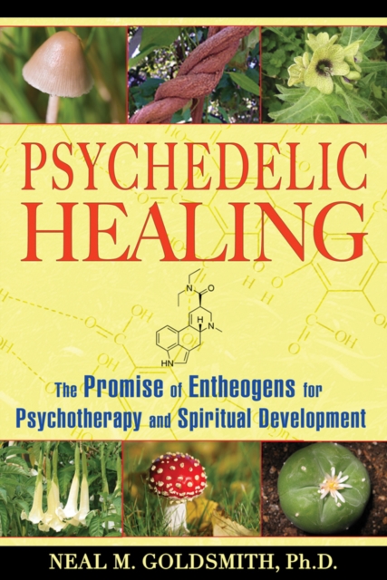 Psychedelic Healing : The Promise of Entheogens for Psychotherapy and Spiritual Development, Paperback / softback Book