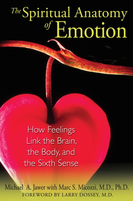 The Spiritual Anatomy of Emotion : How Feelings Link the Brain, the Body, and the Sixth Sense, Paperback / softback Book