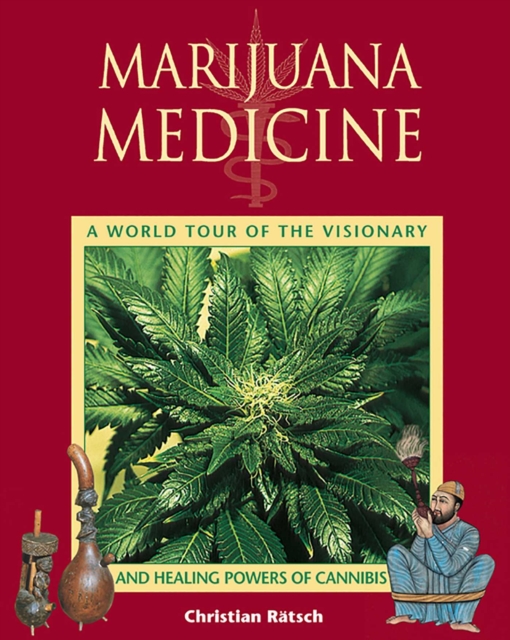 Marijuana Medicine : A World Tour of the Healing and Visionary Powers of Cannabis, EPUB eBook
