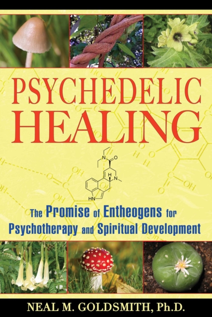 Psychedelic Healing : The Promise of Entheogens for Psychotherapy and Spiritual Development, EPUB eBook