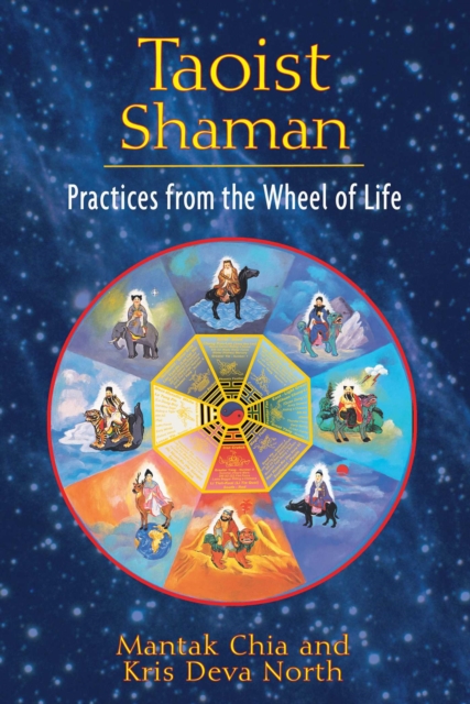 Taoist Shaman : Practices from the Wheel of Life, EPUB eBook