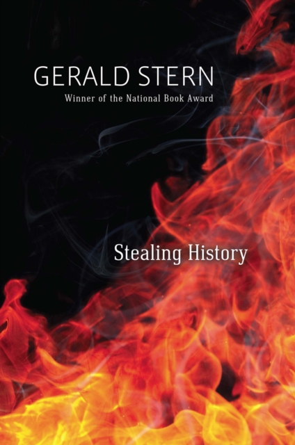 Stealing History, Hardback Book