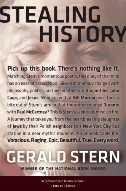 Stealing History, Paperback / softback Book