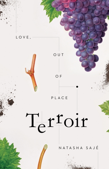 Terroir : Love, Out of Place, Paperback / softback Book