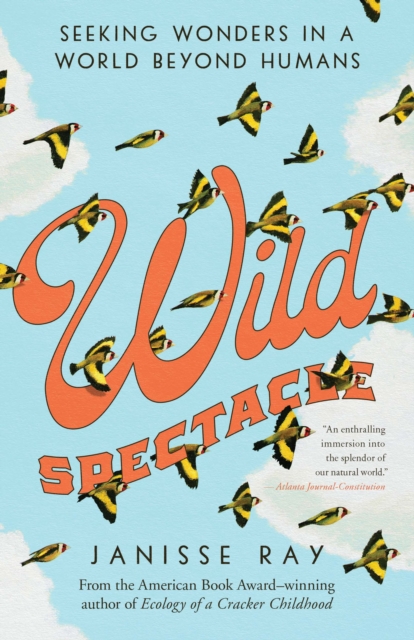 Wild Spectacle : Seeking Wonders in a World beyond Humans, Paperback / softback Book