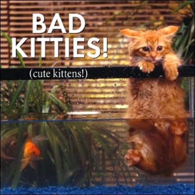 Bad Kitties, Hardback Book
