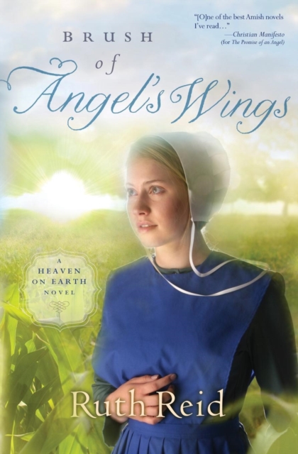 Brush of Angel's Wings, Paperback / softback Book
