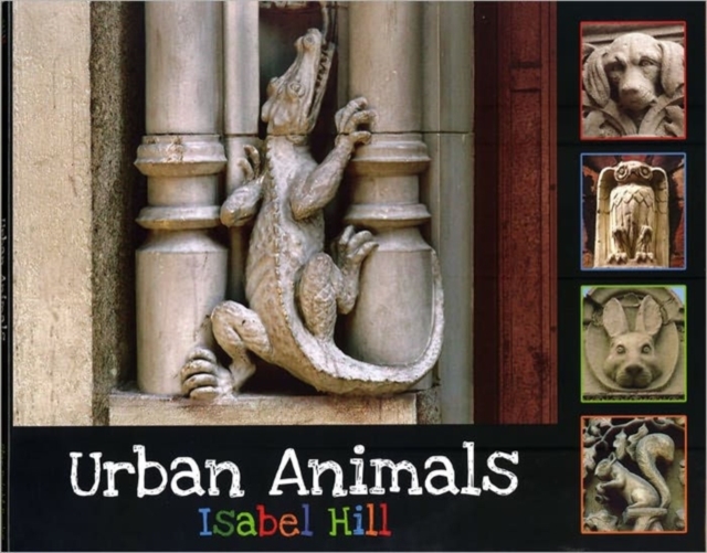 Urban Animals, Paperback Book