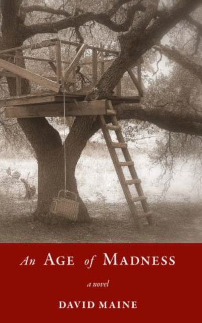 An Age of Madness, Paperback / softback Book
