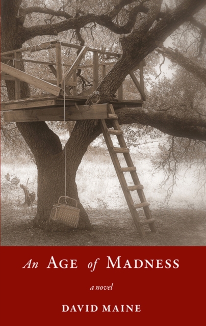 An Age of Madness : A Novel, EPUB eBook