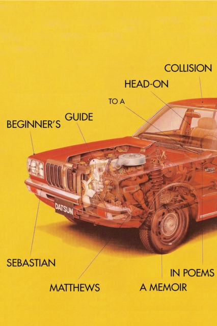 Beginner's Guide to a Head-On Collision, Paperback / softback Book