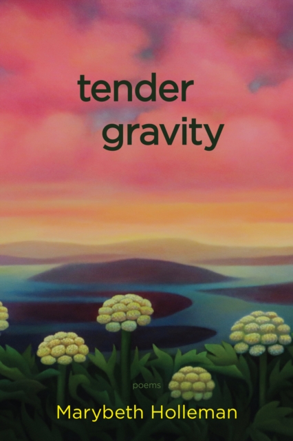 tender gravity, Paperback / softback Book