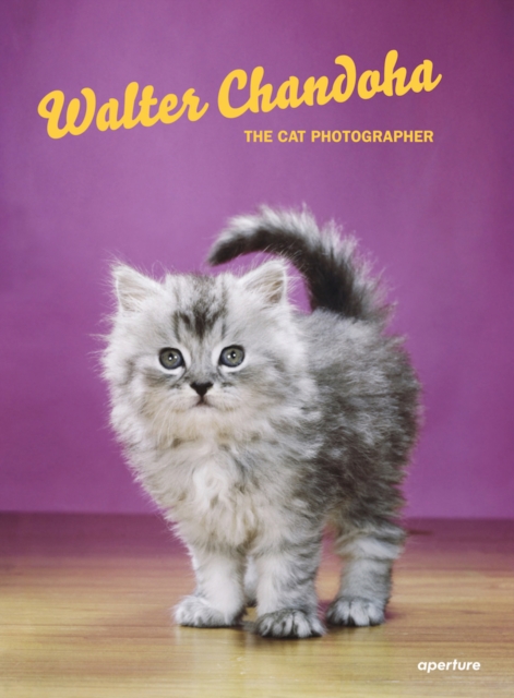 Walter Chandoha: The Cat Photographer, Hardback Book